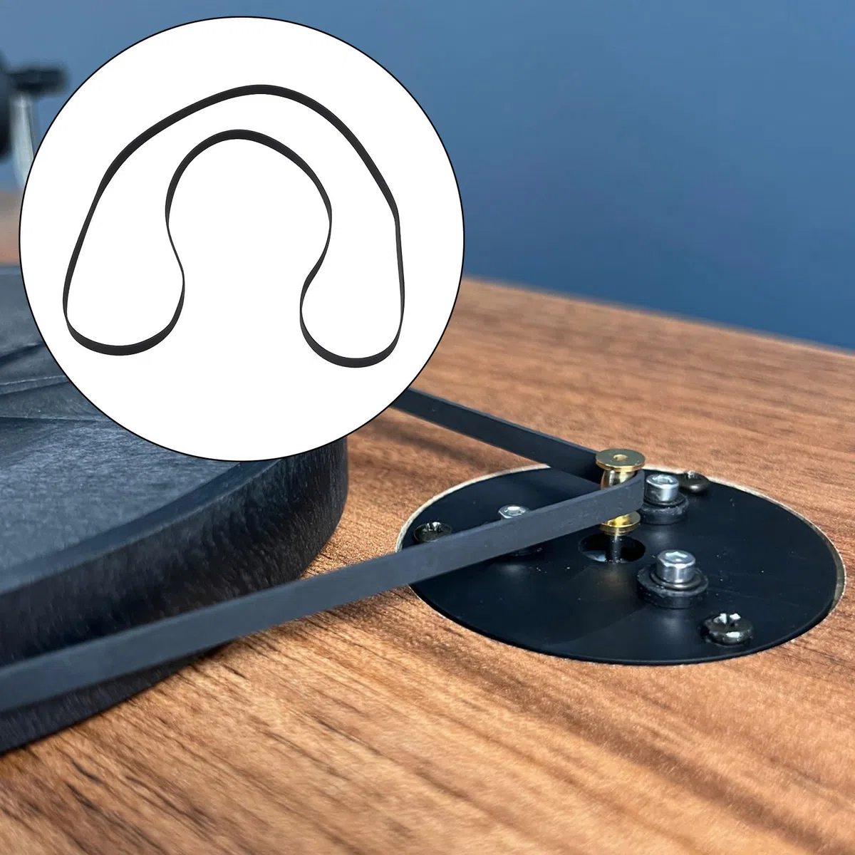 ECSiNG Courroie D'entraînement pour Platine Vinyle Circonférence 545 Mm Compatible avec La Plupart des Platines Vinyles de 21,5 à 24,5 Pouces