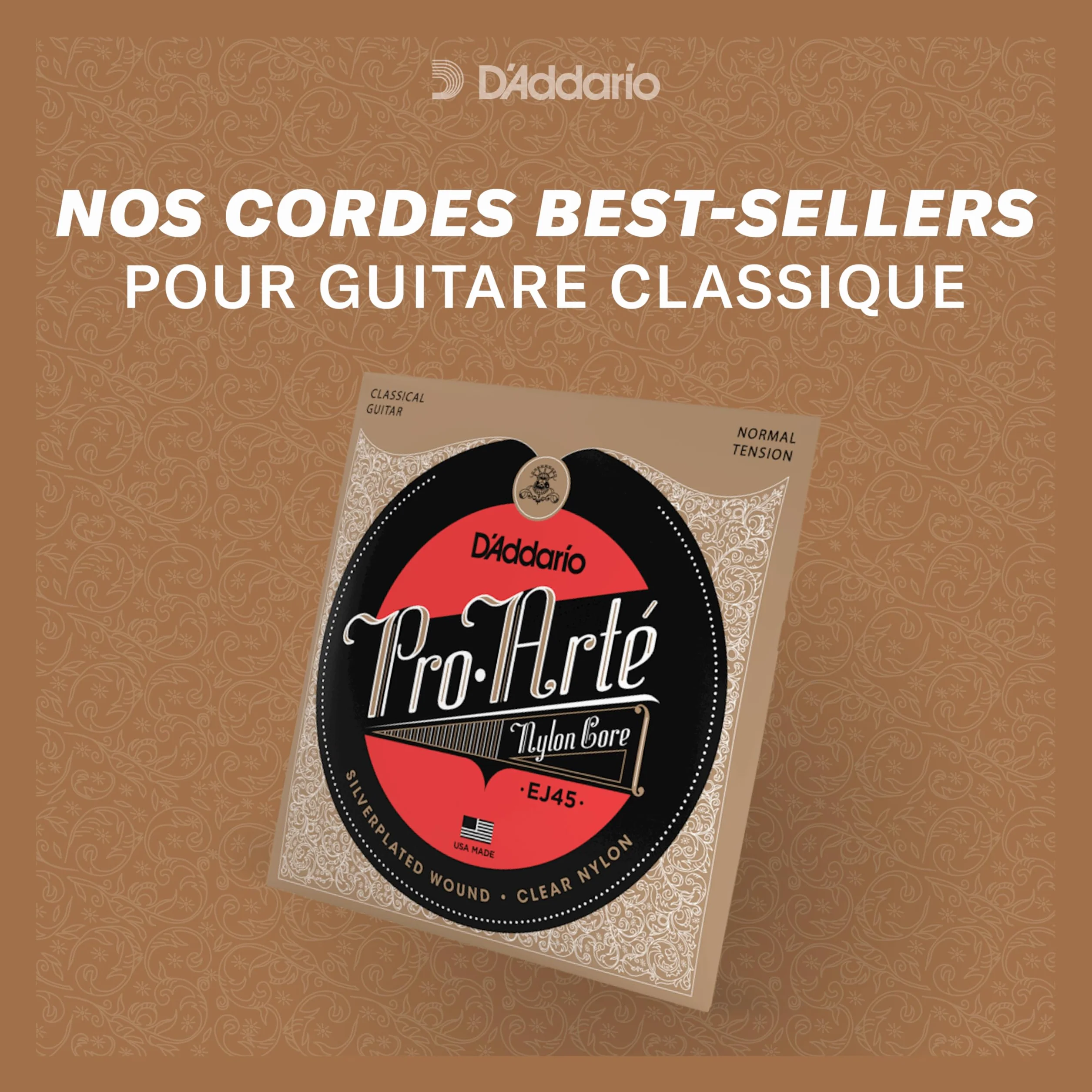 D'Addario Pro-Arte EJ45 Cordes Guitare Classique Nylon Normale