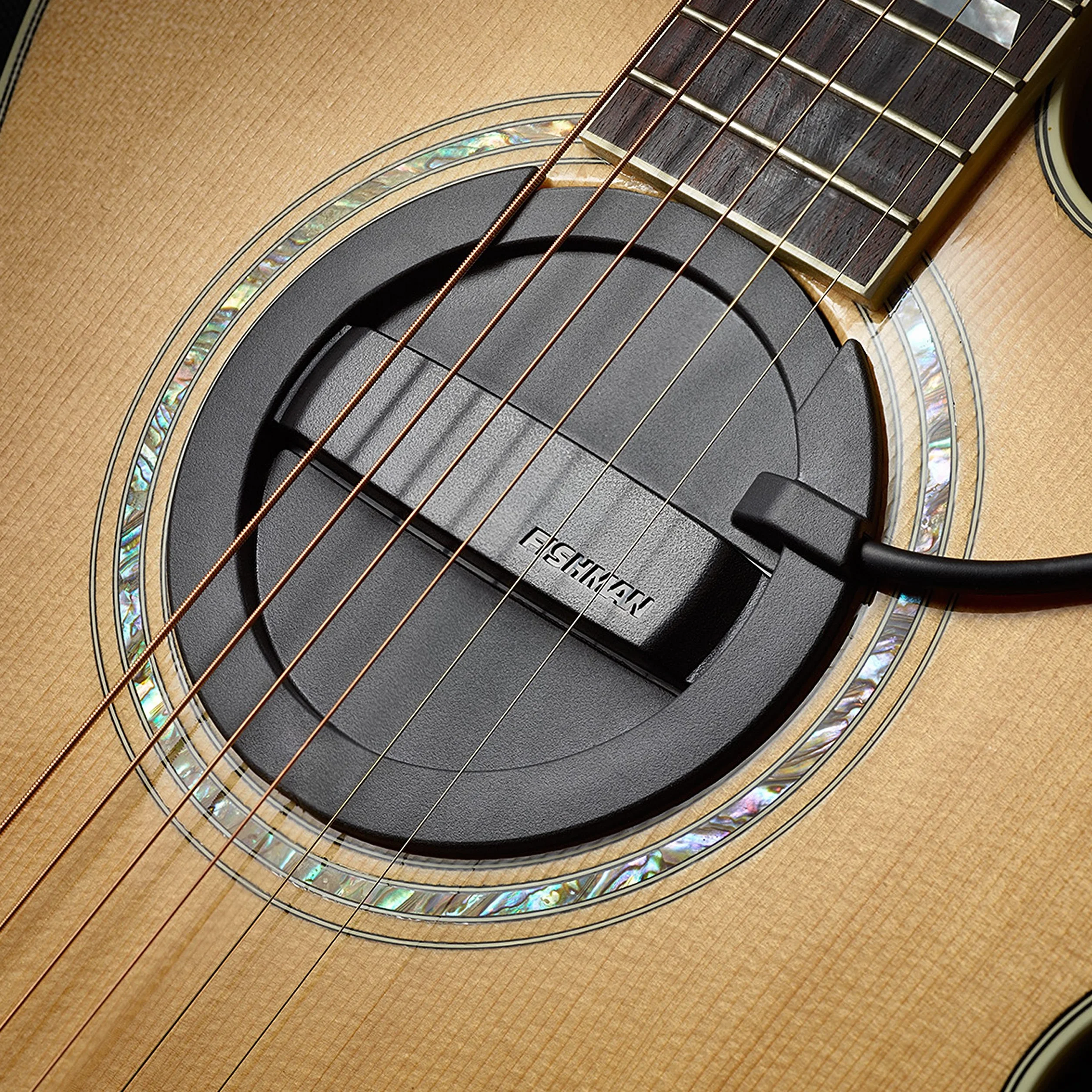 Fishman Neo-D double bobinage Soundhole